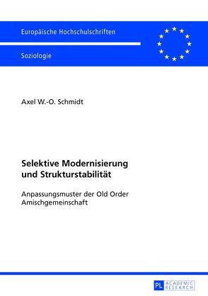 Selektive Modernisierung und Strukturstabilität von Schmidt,  Axel