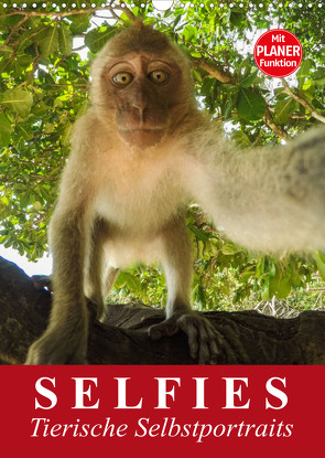 Selfies. Tierische Selbstportraits (Wandkalender 2023 DIN A3 hoch) von Stanzer,  Elisabeth