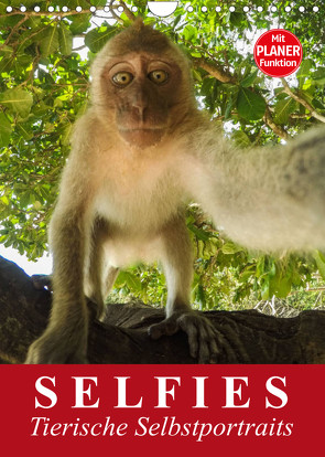 Selfies. Tierische Selbstportraits (Wandkalender 2023 DIN A4 hoch) von Stanzer,  Elisabeth