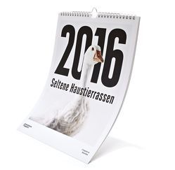 Seltene Haustierrassen 2016 von Bailey,  Richard