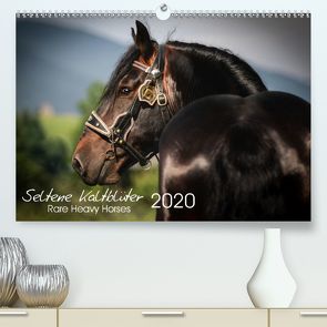 Seltene Kaltblüter – Rare Heavy Horses (Premium, hochwertiger DIN A2 Wandkalender 2020, Kunstdruck in Hochglanz) von Pixel Nomad,  The, Zahorka,  Cécile