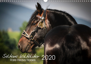 Seltene Kaltblüter – Rare Heavy Horses (Wandkalender 2020 DIN A3 quer) von Pixel Nomad,  The, Zahorka,  Cécile