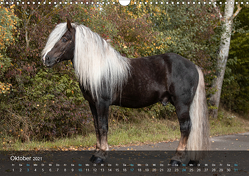 Seltene Kaltblüter – Rare Heavy Horses (Wandkalender 2021 DIN A3 quer) von Pixel Nomad,  The, Zahorka,  Cécile