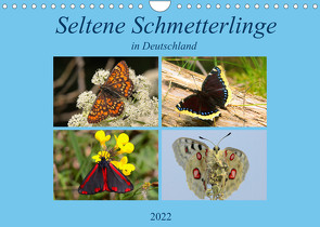 Seltene Schmetterlinge in Deutschland (Wandkalender 2022 DIN A4 quer) von Erlwein,  Winfried