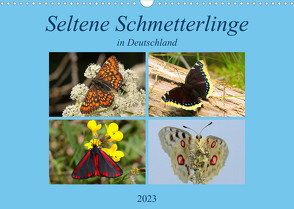 Seltene Schmetterlinge in Deutschland (Wandkalender 2023 DIN A3 quer) von Erlwein,  Winfried