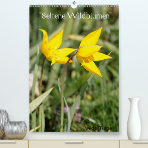 „Seltene Wildblumen“ (Premium, hochwertiger DIN A2 Wandkalender 2021, Kunstdruck in Hochglanz) von Erlwein,  Winfried