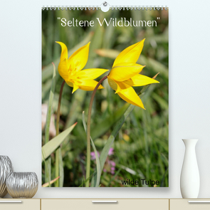 „Seltene Wildblumen“ (Premium, hochwertiger DIN A2 Wandkalender 2022, Kunstdruck in Hochglanz) von Erlwein,  Winfried