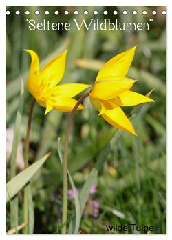 Seltene Wildblumen (Tischkalender 2024 DIN A5 hoch), CALVENDO Monatskalender von Erlwein,  Winfried