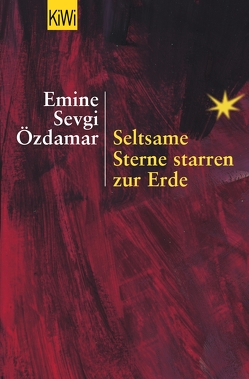 Seltsame Sterne starren zur Erde von Özdamar,  Emine Sevgi