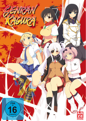 Senran Kagura – Gesamtausgabe – Episode 01-12 (4 DVDs) von Watanabe,  Takashi