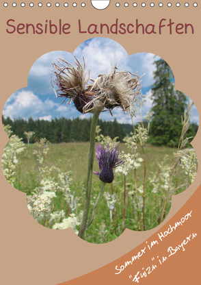 Sensible Landschaften , Sommer im Hochmoor (Wandkalender 2019 DIN A4 hoch) von Munir