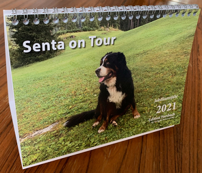 Senta on Tour 2021 von Forsbach,  Beate