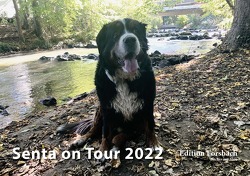 Senta on Tour 2022 von Forsbach,  Beate