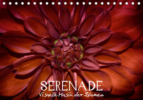 Serenade – Visuelle Musik der Blumen (Tischkalender 2021 DIN A5 quer) von Photon,  Vronja