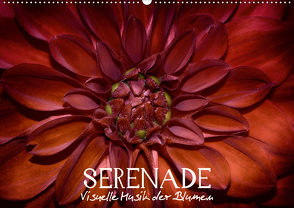 Serenade – Visuelle Musik der Blumen (Wandkalender 2021 DIN A2 quer) von Photon,  Vronja