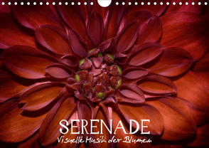 Serenade – Visuelle Musik der Blumen (Wandkalender 2021 DIN A4 quer) von Photon,  Vronja