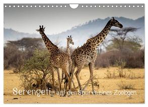 Serengeti – auf den Spuren eines Zoologen (Wandkalender 2024 DIN A4 quer), CALVENDO Monatskalender von Maaß,  Jürgen