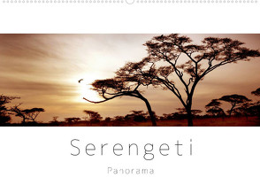 Serengeti Panorama (Wandkalender 2022 DIN A2 quer) von visuell photography,  studio