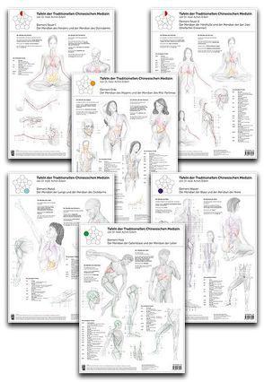 Set von 6 Tafeln der Traditionellen Chinesischen Medizin von Eckert,  Achim