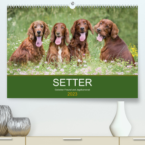 Setter – Geliebter Freund und Jagdkamerad (Premium, hochwertiger DIN A2 Wandkalender 2023, Kunstdruck in Hochglanz) von Mayer Tierfotografie,  Andrea