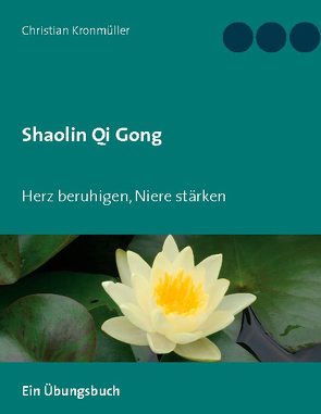 Shaolin Qi Gong von Kronmüller,  Christian