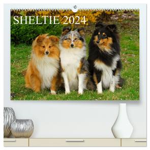 Sheltie 2024 (hochwertiger Premium Wandkalender 2024 DIN A2 quer), Kunstdruck in Hochglanz von Starick,  Sigrid