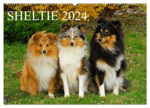 Sheltie 2024 (Wandkalender 2024 DIN A2 quer), CALVENDO Monatskalender von Starick,  Sigrid