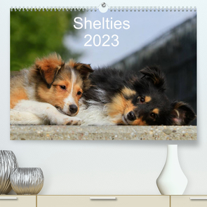 Shelties 2023 (Premium, hochwertiger DIN A2 Wandkalender 2023, Kunstdruck in Hochglanz) von Reiß-Seibert,  Marion