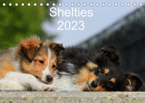 Shelties 2023 (Tischkalender 2023 DIN A5 quer) von Reiß-Seibert,  Marion