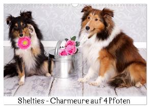 Shelties : Charmeure auf 4 Pfoten (Wandkalender 2024 DIN A3 quer), CALVENDO Monatskalender von Reiß-Seibert,  Marion