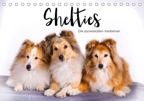 Shelties – Die zuckersüßen Vierbeiner. (Tischkalender 2024 DIN A5 quer), CALVENDO Monatskalender von Scott,  M.