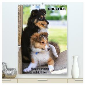 SHELTIES Herzensbrecher auf 4 Pfoten (hochwertiger Premium Wandkalender 2024 DIN A2 hoch), Kunstdruck in Hochglanz von Reiß-Seibert,  Marion