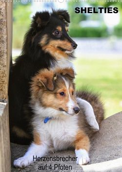 SHELTIES Herzensbrecher auf 4 Pfoten (Premium, hochwertiger DIN A2 Wandkalender 2022, Kunstdruck in Hochglanz) von Reiß-Seibert,  Marion