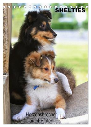 SHELTIES Herzensbrecher auf 4 Pfoten (Tischkalender 2024 DIN A5 hoch), CALVENDO Monatskalender von Reiß-Seibert,  Marion