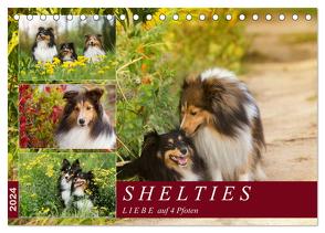 SHELTIES Liebe auf 4 Pfoten (Tischkalender 2024 DIN A5 quer), CALVENDO Monatskalender von Reiß-Seibert,  Marion