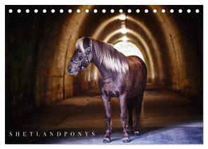 Shetlandpony Kalender (Tischkalender 2024 DIN A5 quer), CALVENDO Monatskalender von D. Fotografie,  Nina