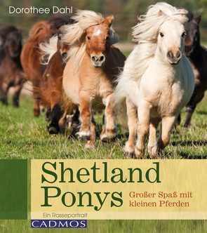 Shetlandponys von Dahl,  Dorothee