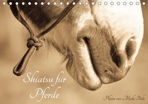 Shiatsu für Pferde – Photos von Meike Bölts (Tischkalender 2019 DIN A5 quer) von Bölts,  Meike