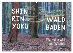 Shinrin yoku – Waldbaden 2024 (Wandkalender 2024 DIN A2 quer), CALVENDO Monatskalender von van der Wiel www.kalender-atelier.de,  Irma