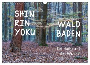 Shinrin yoku – Waldbaden 2024 (Wandkalender 2024 DIN A3 quer), CALVENDO Monatskalender von van der Wiel www.kalender-atelier.de,  Irma