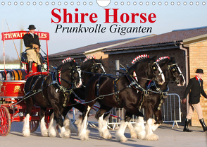 Shire Horse • Prunkvolle Giganten (Wandkalender 2021 DIN A4 quer) von Stanzer,  Elisabeth