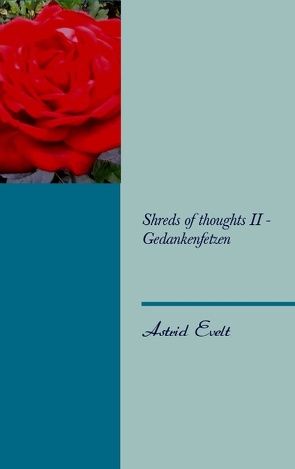 Shreds of thoughts II – Gedankenfetzen von Evelt,  Astrid