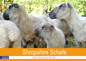 Shropshire Schafe (Tischkalender 2022 DIN A5 quer) von Brunhilde Kesting,  Margarete