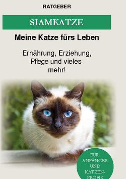 Siam Katze von Ratgeber,  Meine Katze fürs Leben