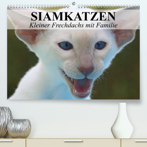 Siamkatzen – Kleiner Frechdachs mit Familie (Premium, hochwertiger DIN A2 Wandkalender 2023, Kunstdruck in Hochglanz) von Stanzer,  Elisabeth