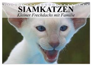 Siamkatzen – Kleiner Frechdachs mit Familie (Tischkalender 2024 DIN A5 quer), CALVENDO Monatskalender von Stanzer,  Elisabeth