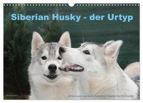 Siberian Husky – der Urtyp (Wandkalender 2024 DIN A3 quer), CALVENDO Monatskalender von Ebardt,  Michael