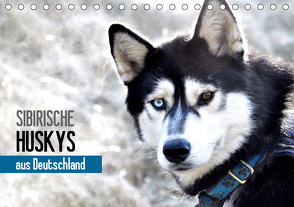 Sibirische Huskys aus Deutschland (Tischkalender 2021 DIN A5 quer) von Hentschel,  Andrea