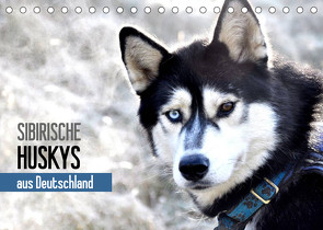 Sibirische Huskys aus Deutschland (Tischkalender 2023 DIN A5 quer) von Hentschel,  Andrea