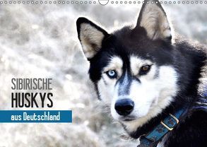 Sibirische Huskys aus Deutschland (Wandkalender 2019 DIN A3 quer) von Hentschel,  Andrea